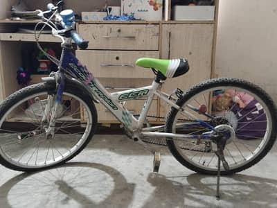 eco champion gear cycle for sale