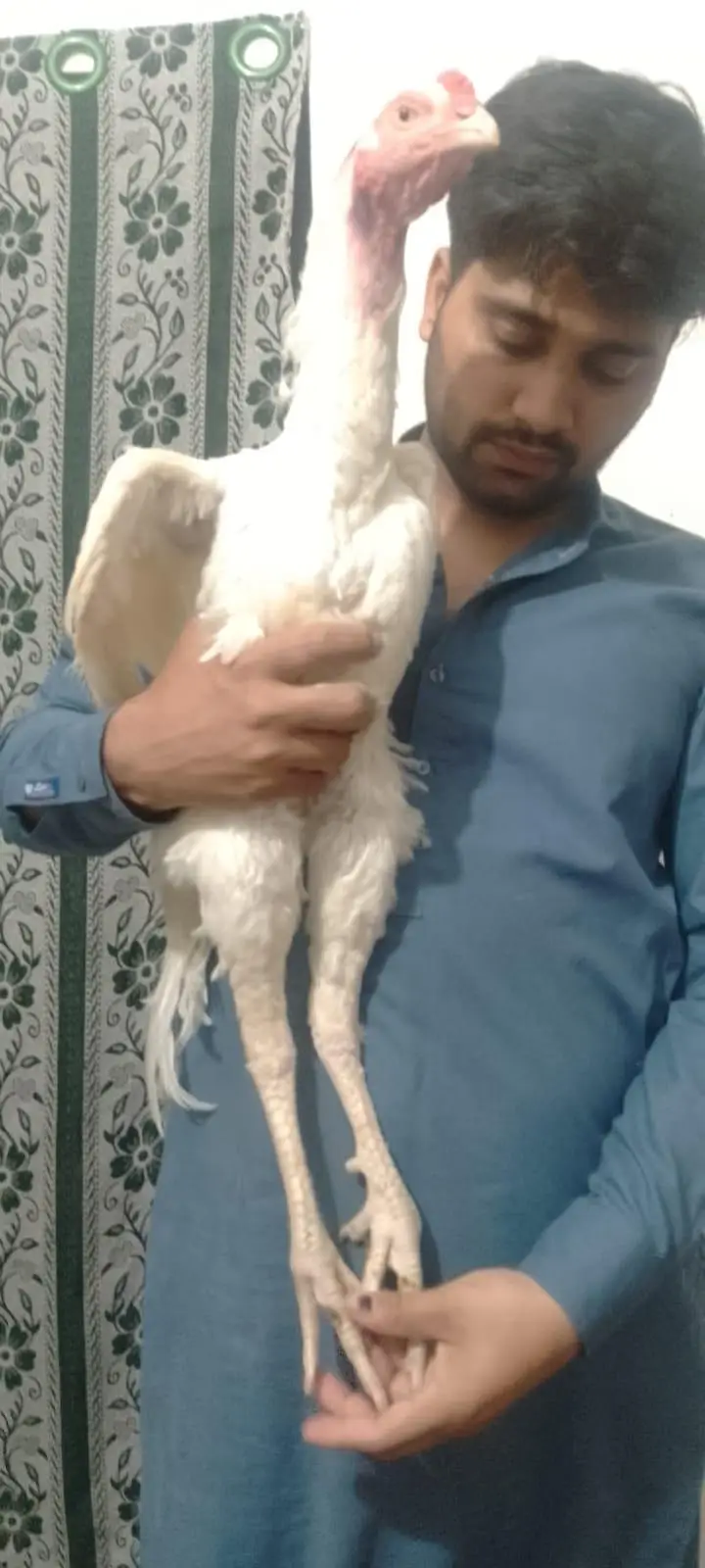 Heera And Mianwali chicks — photo 5