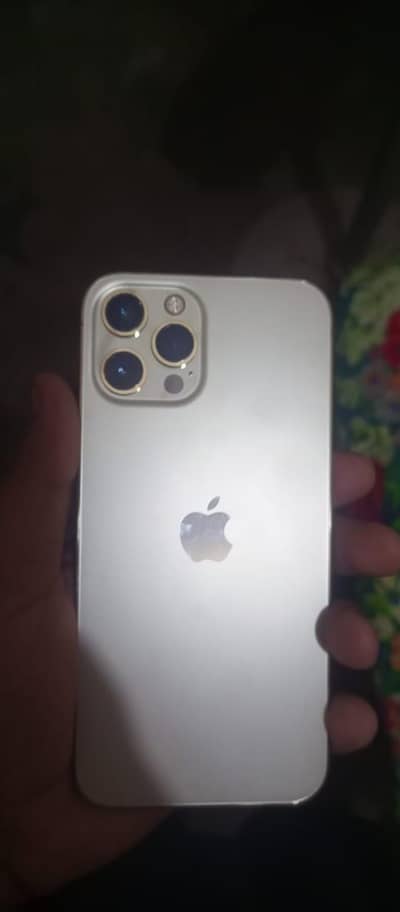 Apple iPhone 12 Pro Max