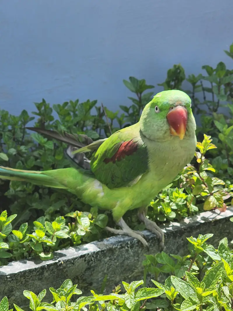 raw female urgent for sale — photo 10