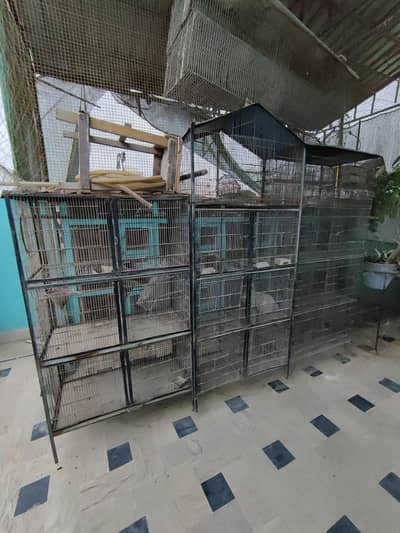 cages for sale