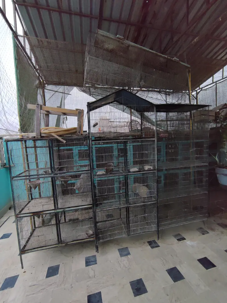 cages for sale — photo 2