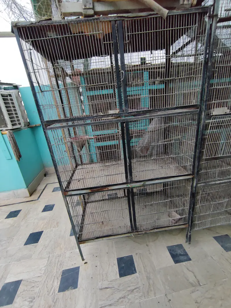 cages for sale — photo 3