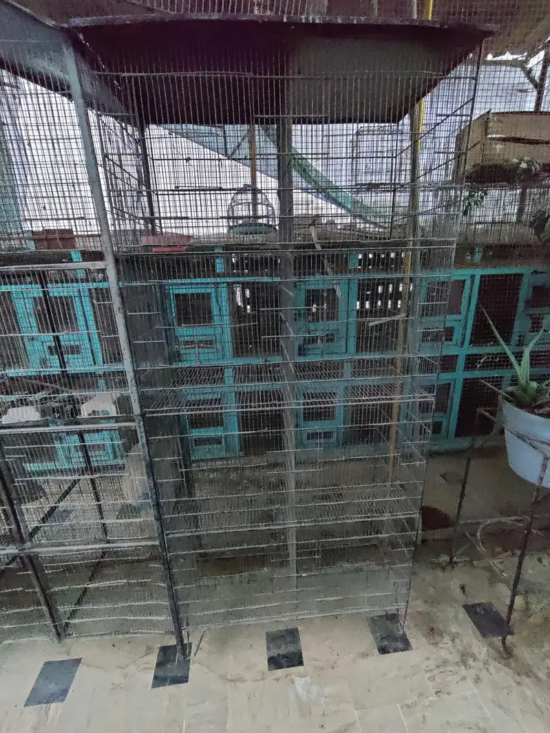 cages for sale — photo 4