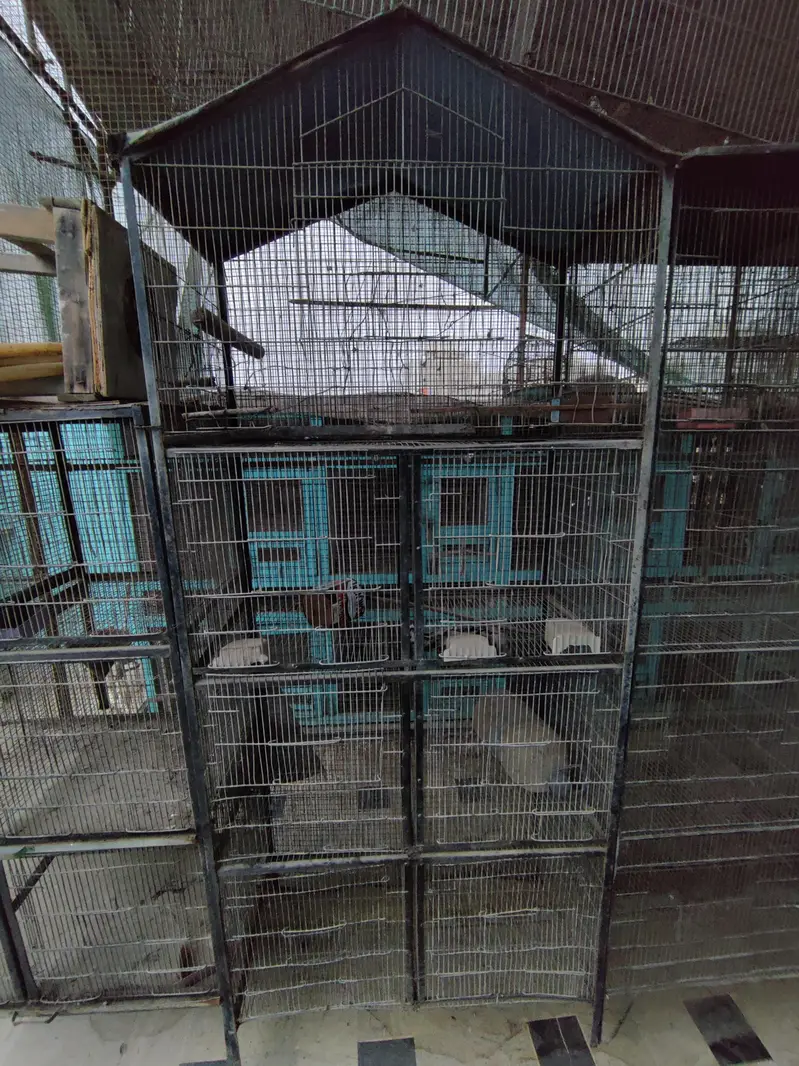 cages for sale — photo 5