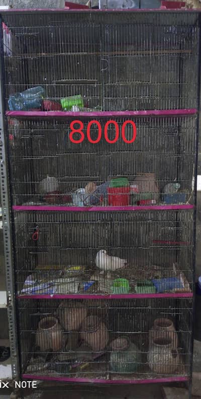 cages urgent sale
