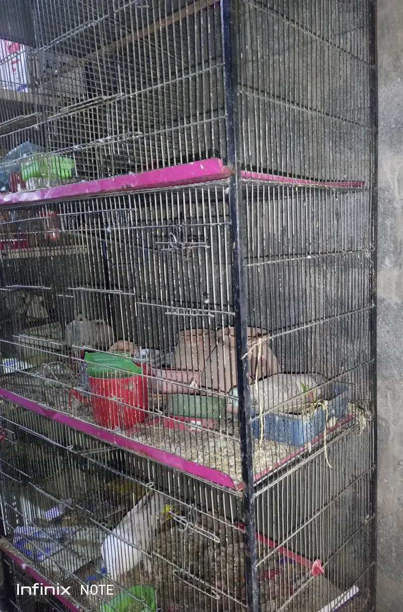 cages urgent sale — photo 2