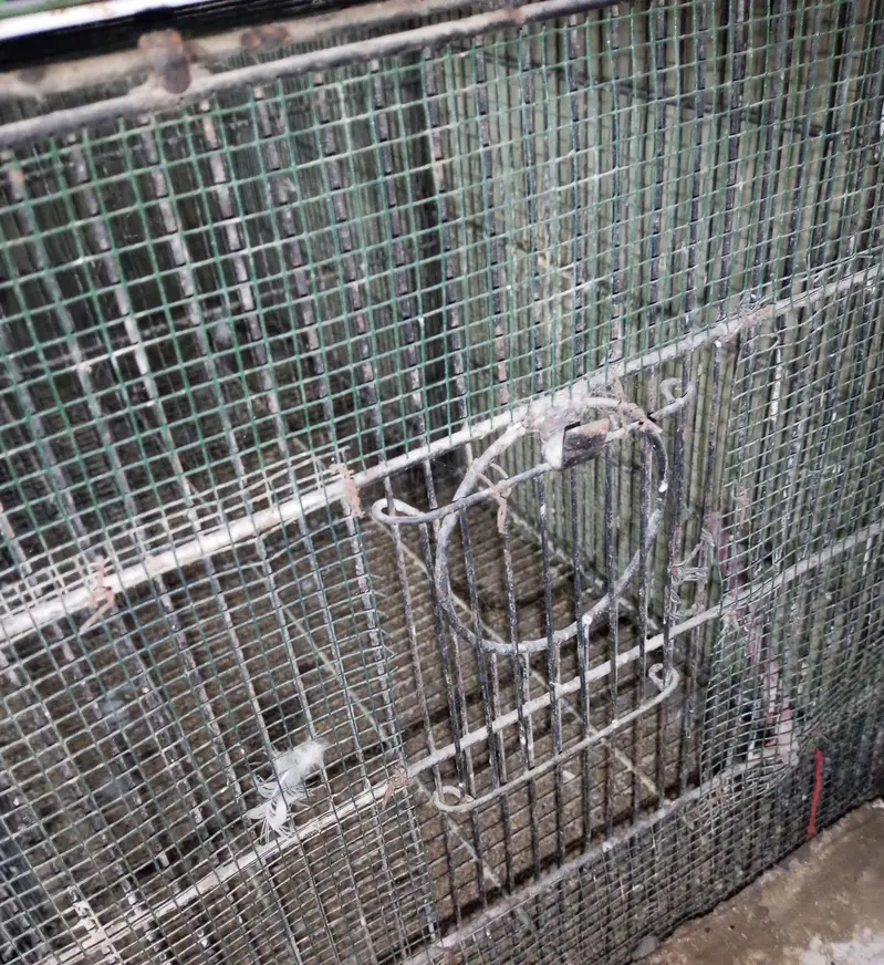 cages urgent sale — photo 3