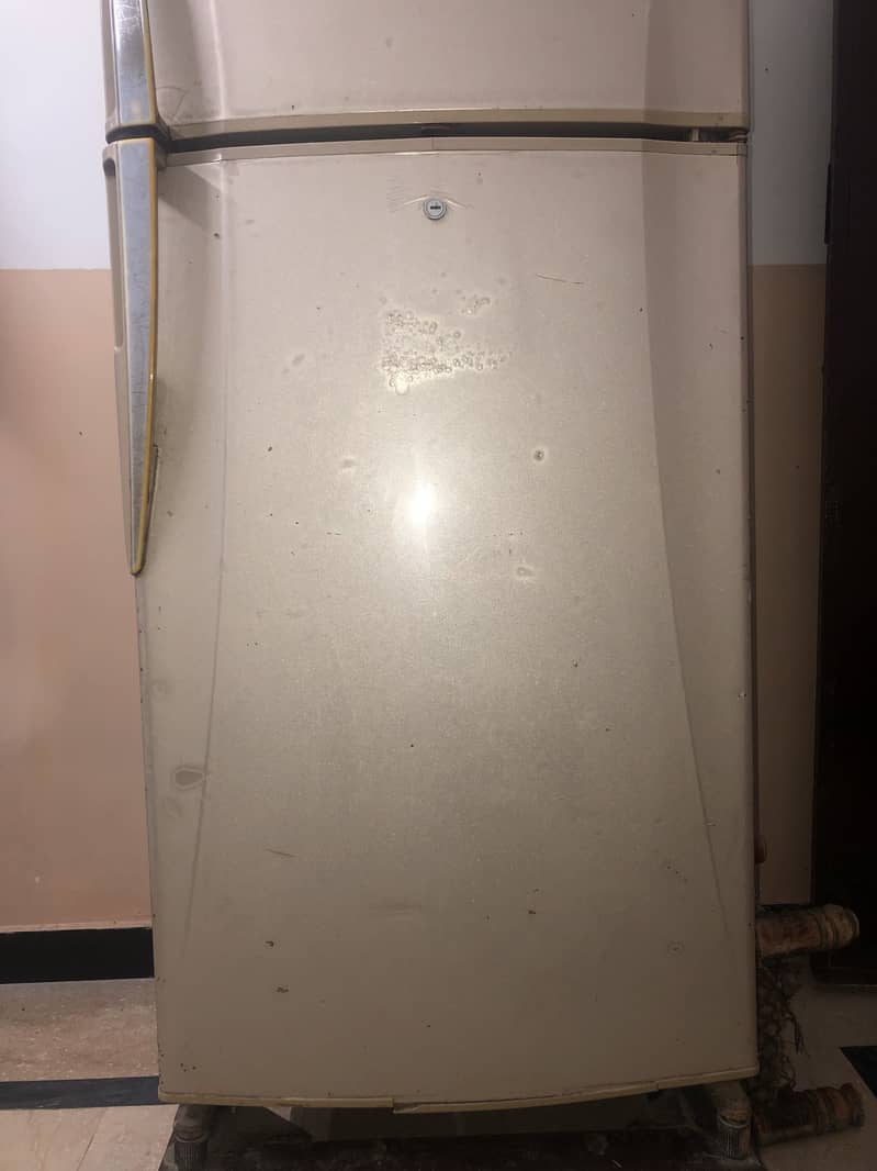 Fridge 1