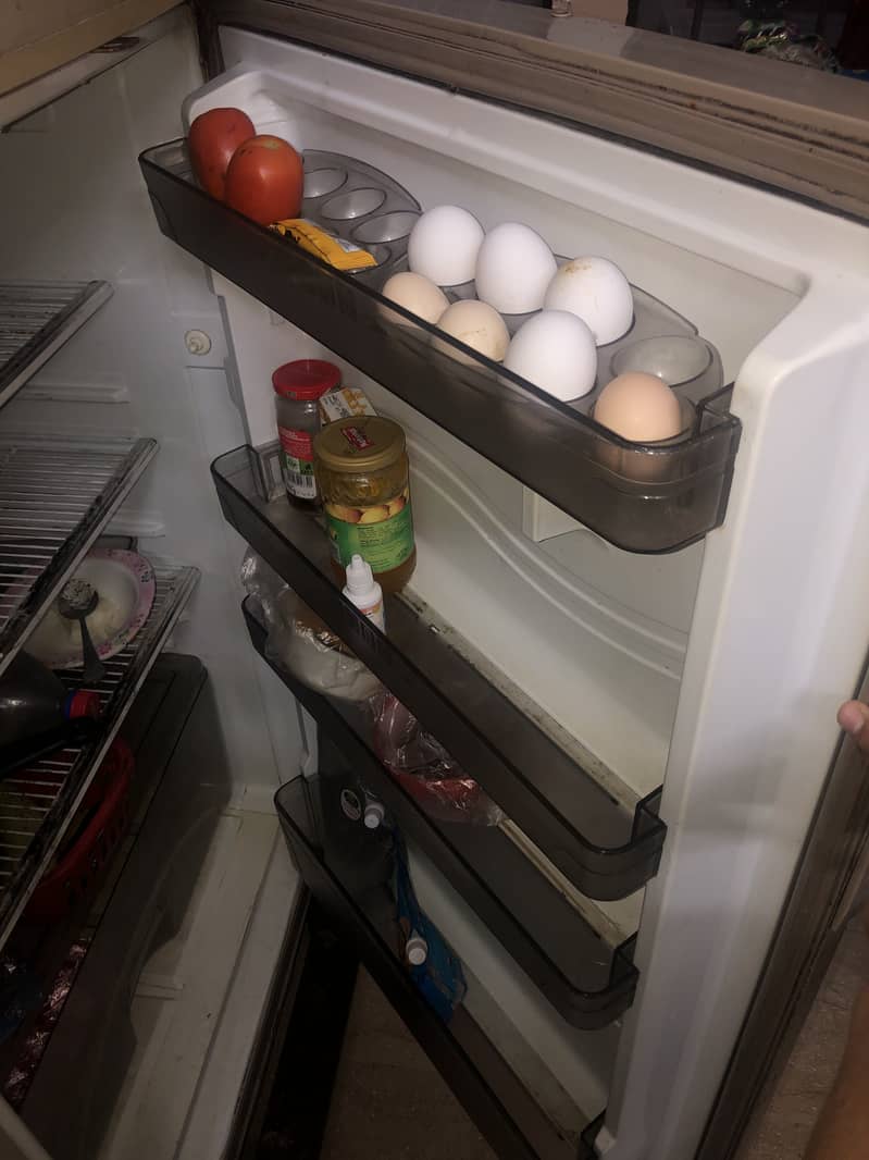 Fridge 4