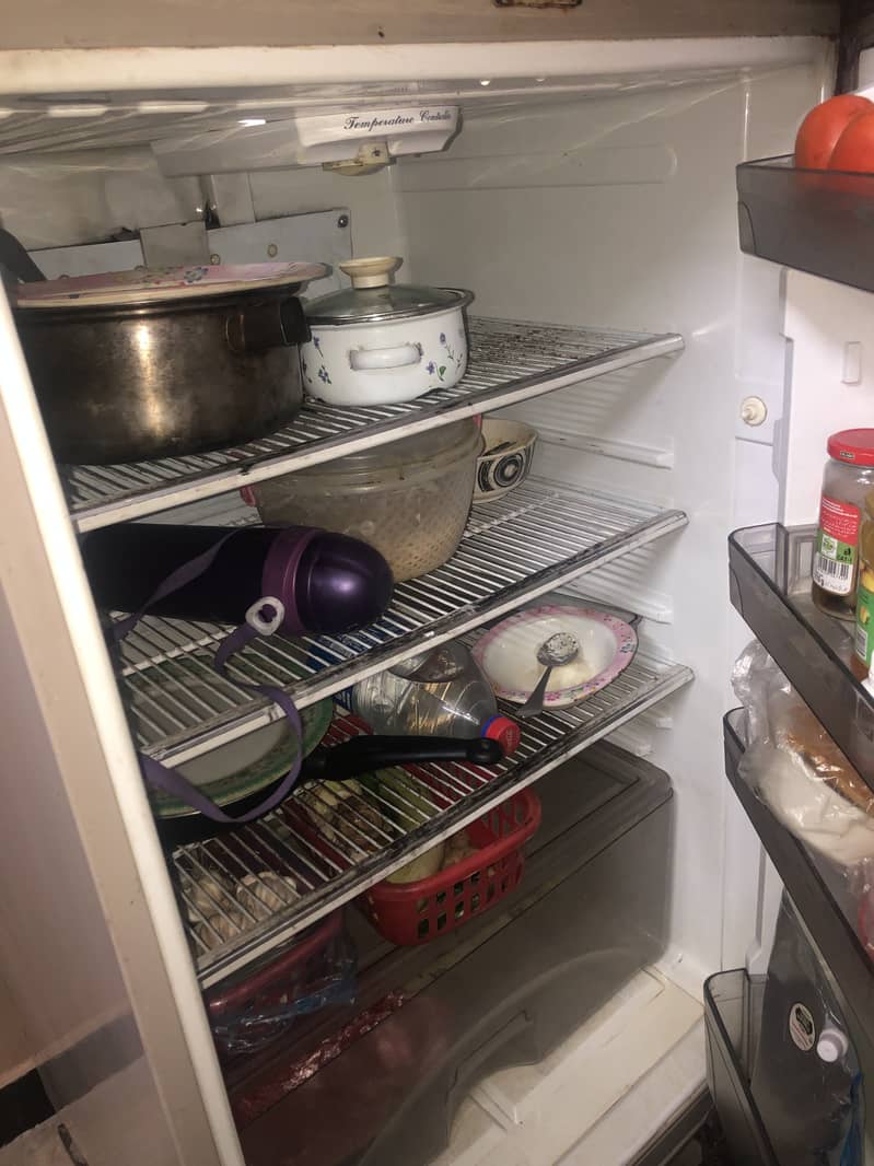 Fridge 5