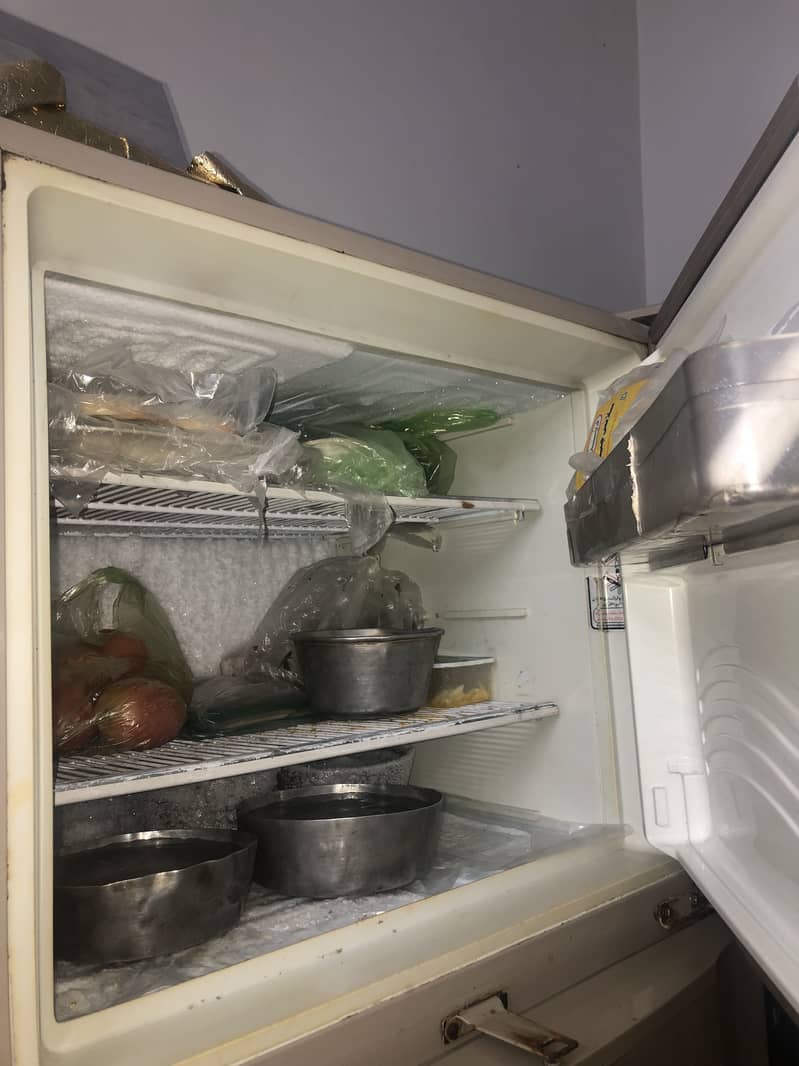 Fridge 6