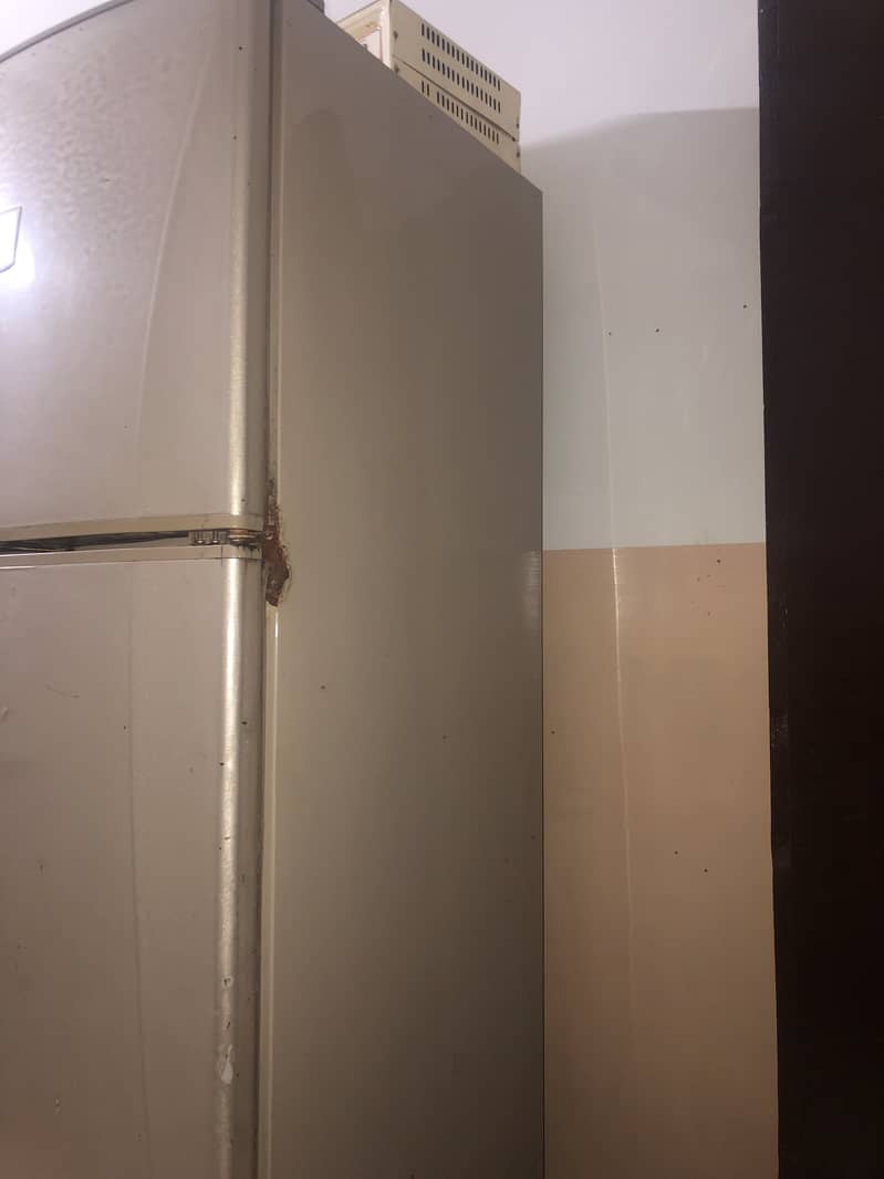 Fridge 9