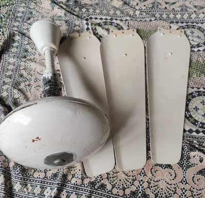 ceiling fans