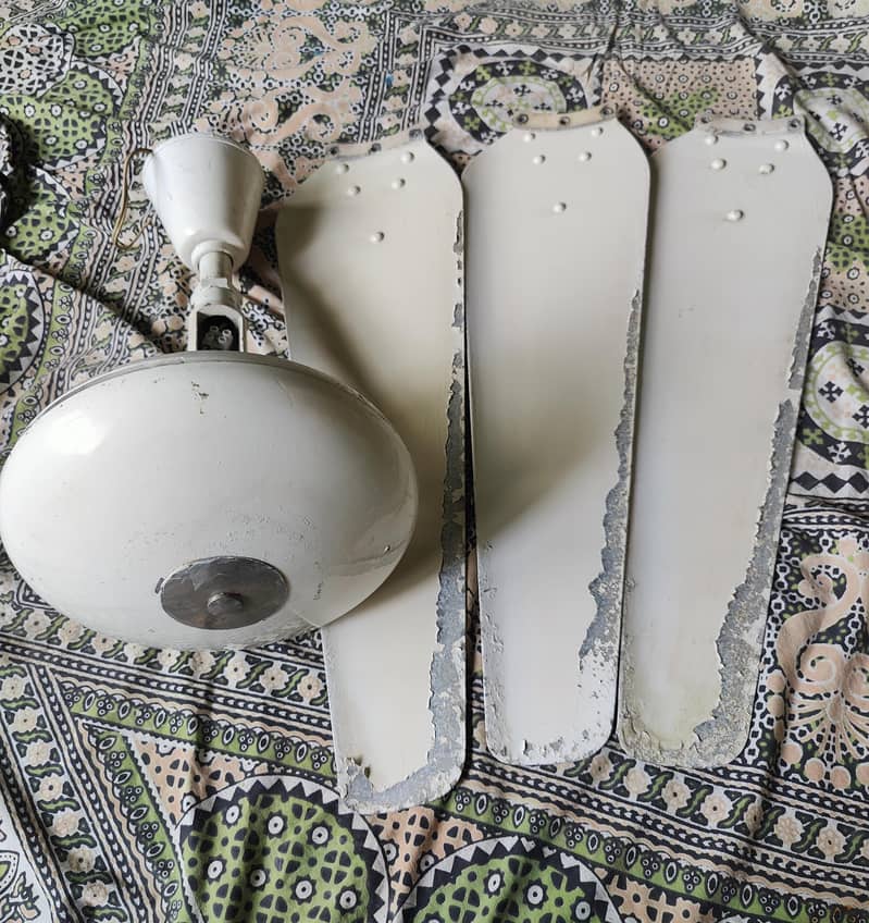 ceiling fans 4