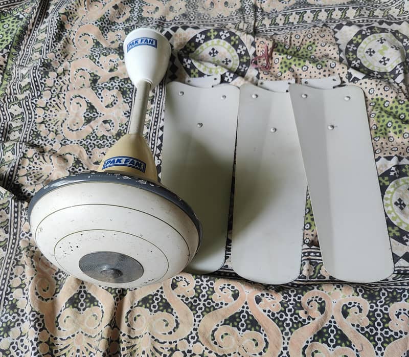 ceiling fans 6
