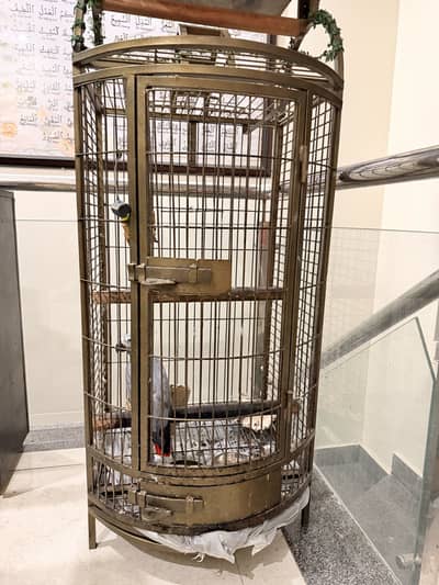 Parrots Cage Big Size