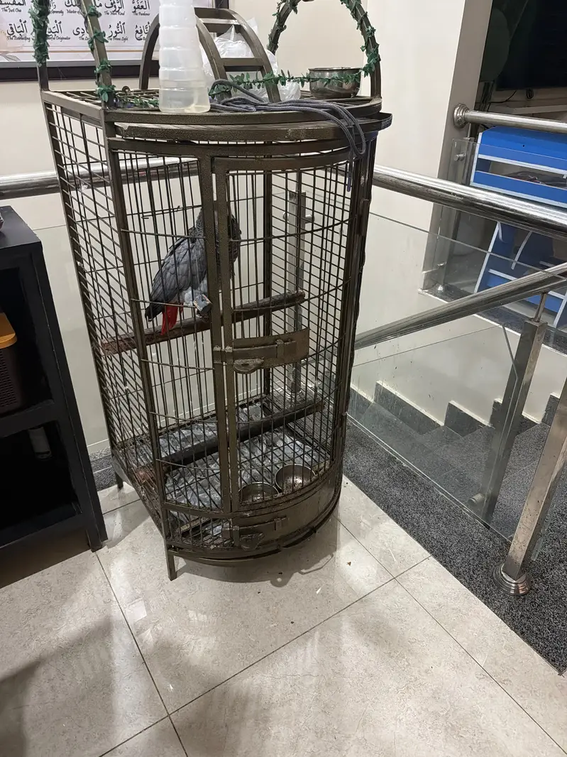 Parrots Cage Big Size — photo 2