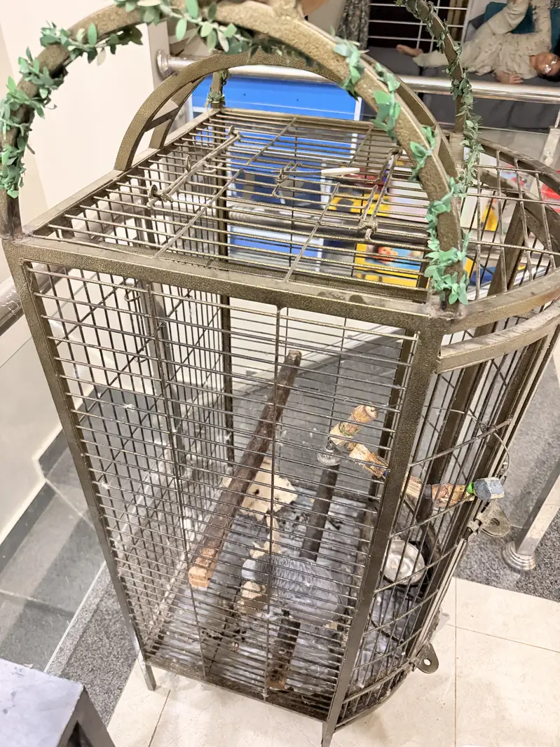 Parrots Cage Big Size — photo 3