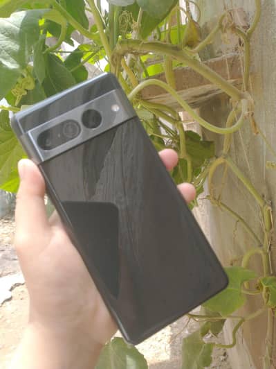 goggle pixcel 7pro 6/128 Non pta panel change hai 03181738411
