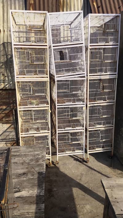 cage for sale