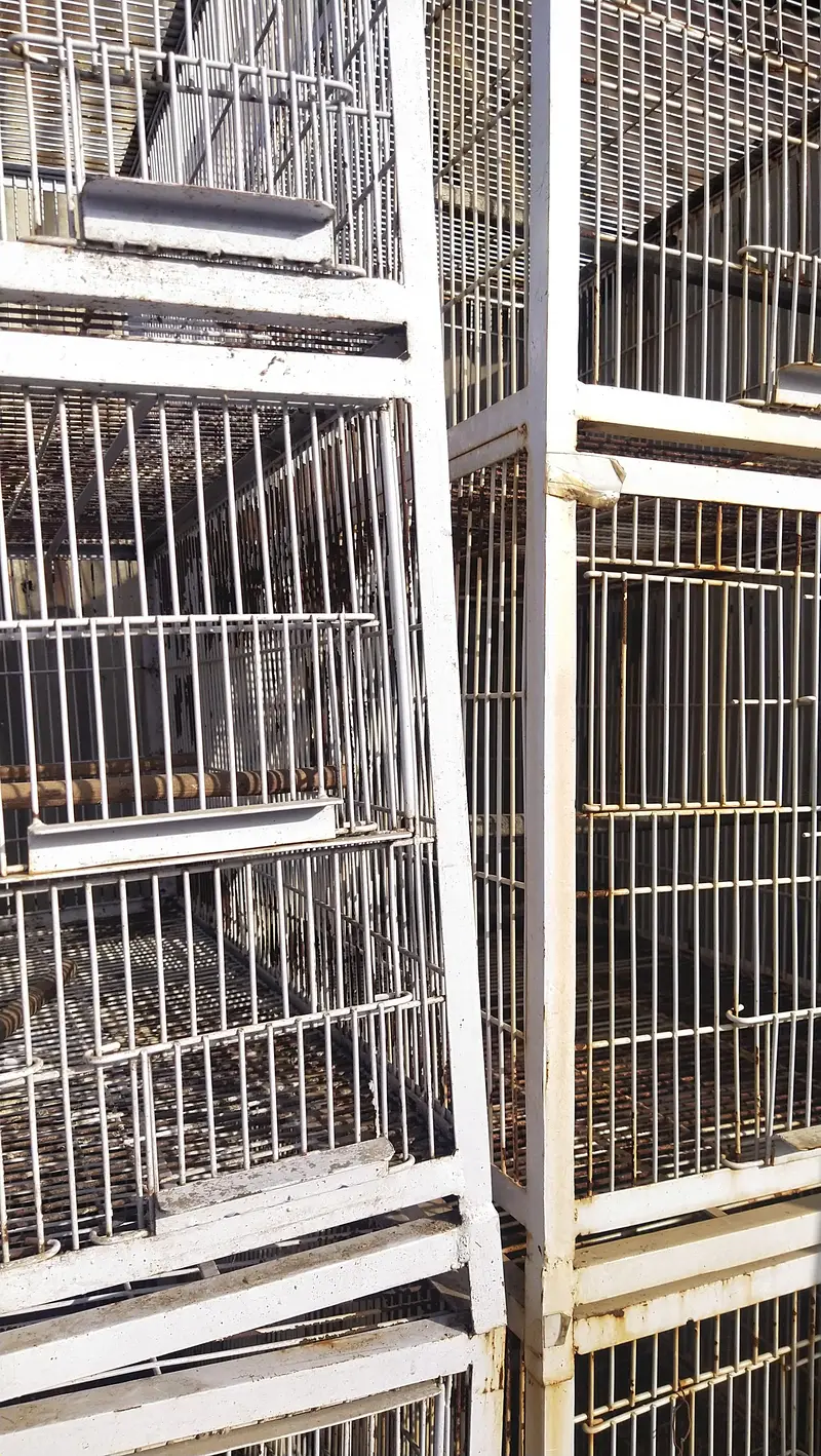 cage for sale — photo 4