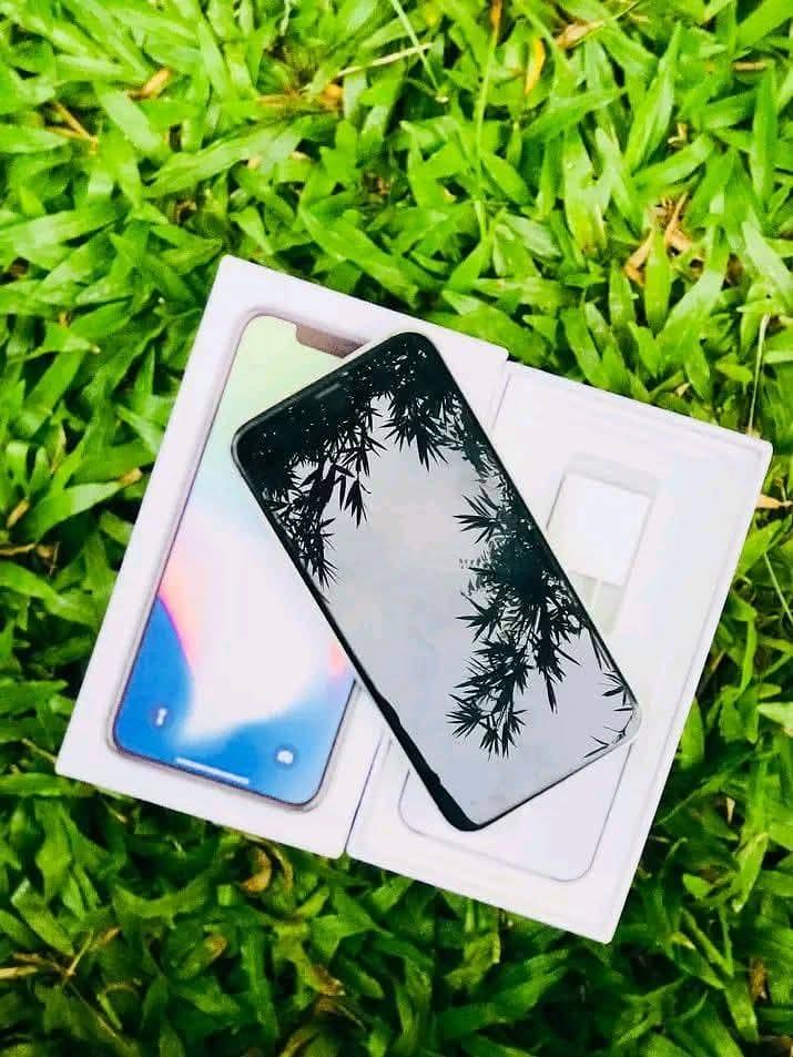 Apple iPhone X 1