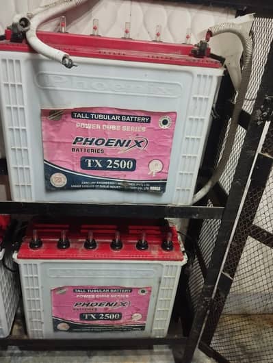 Tall tuber Phoenix batteries