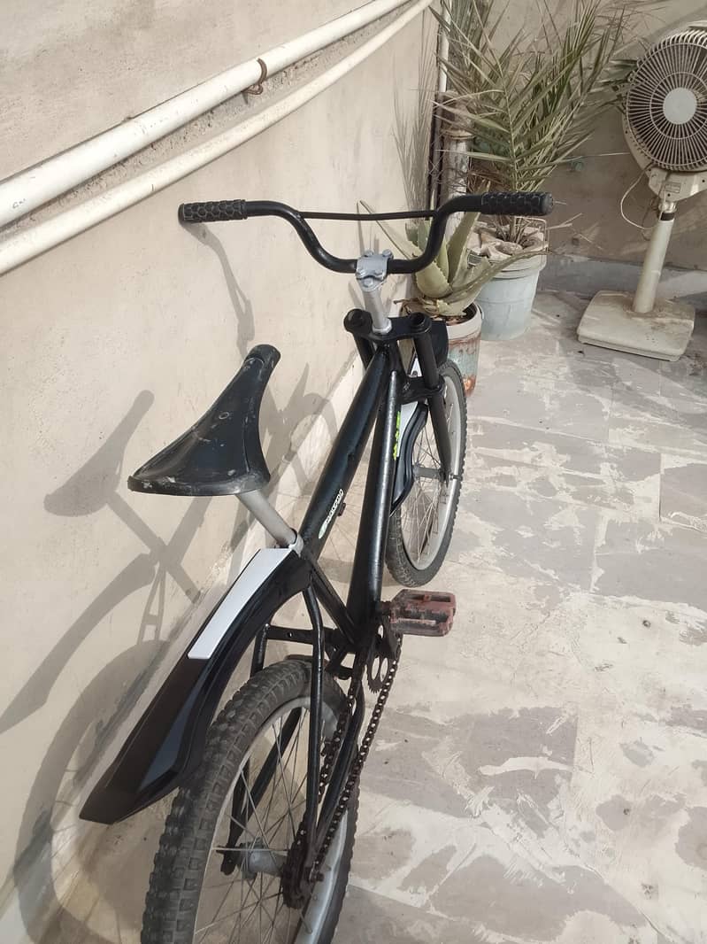 Cycle 4