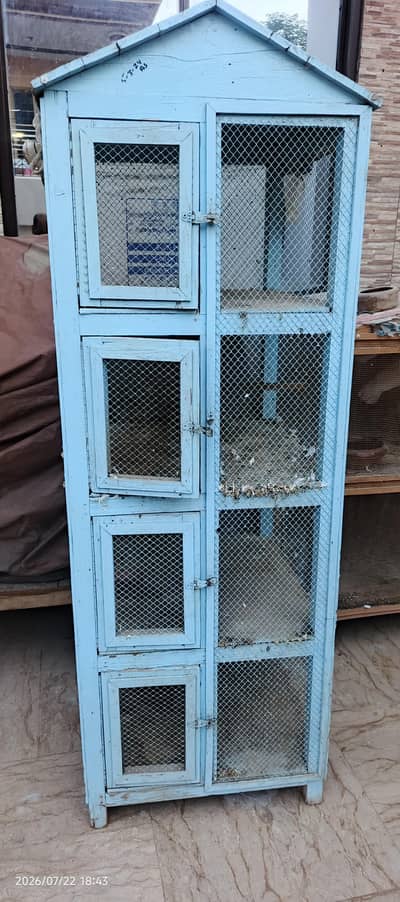 Birds cage