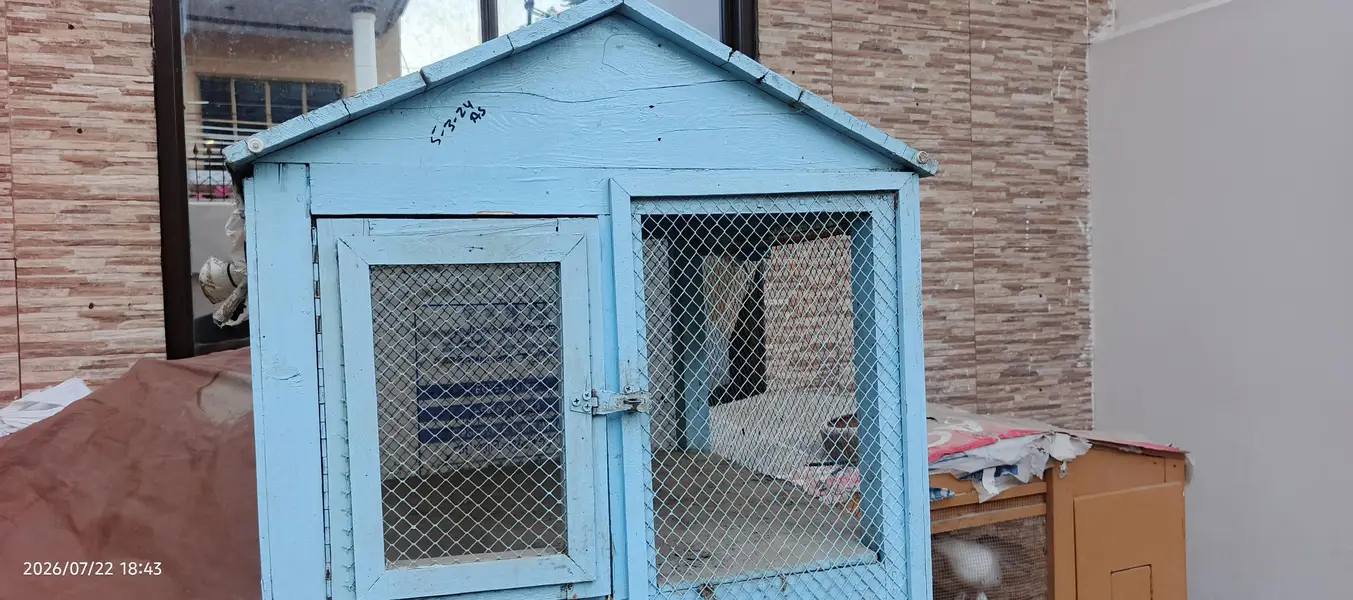 Birds cage — photo 2