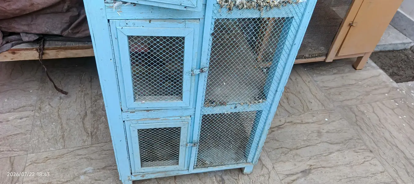 Birds cage — photo 4