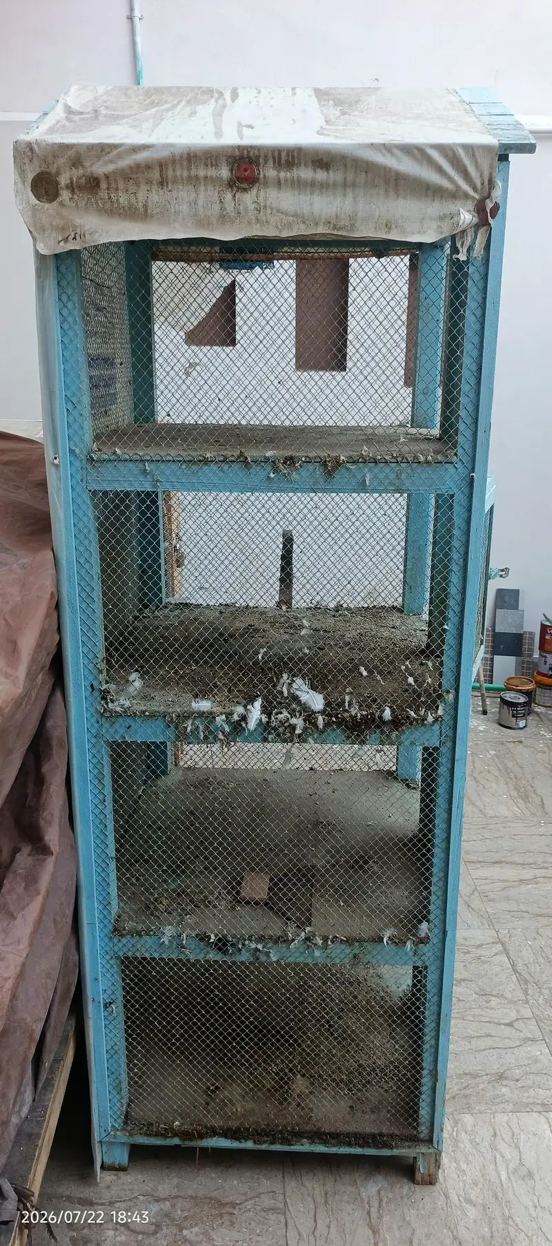 Birds cage — photo 5