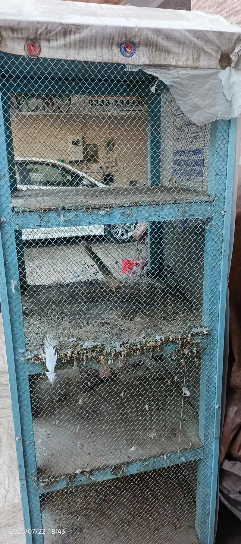 Birds cage — photo 6
