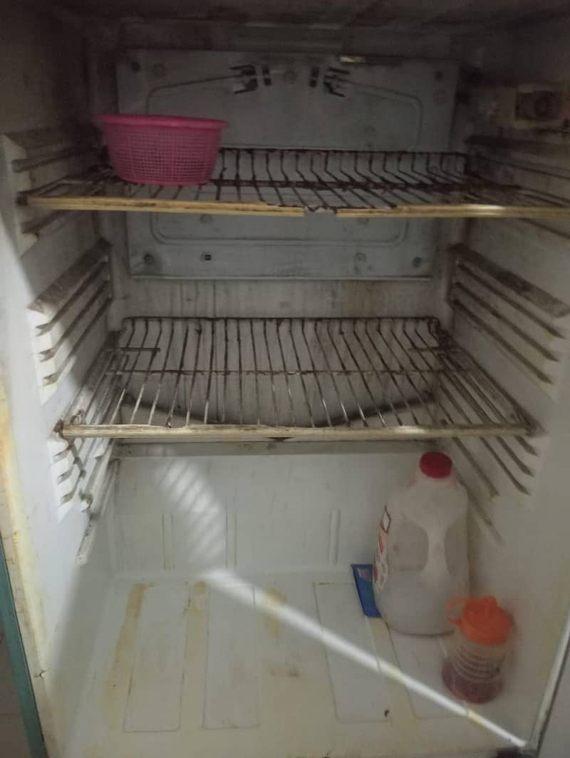 Medium size fridge 6