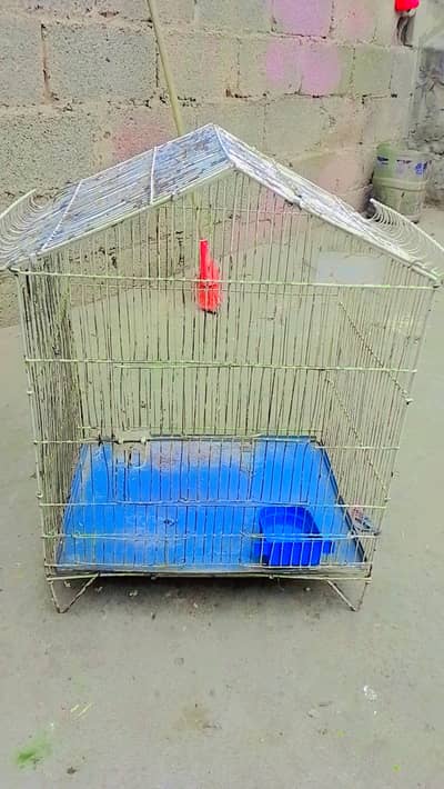 Bird cage for sale
