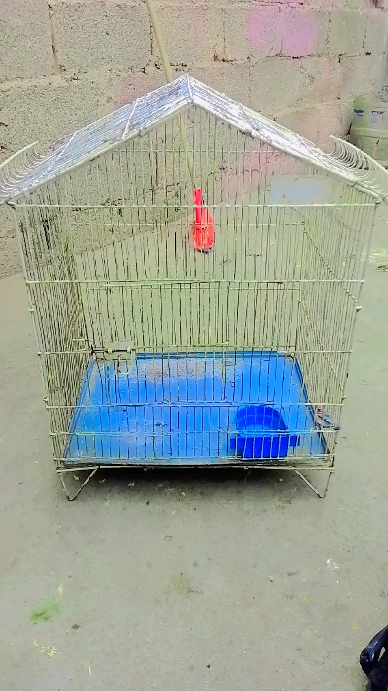 Bird cage for sale — photo 2