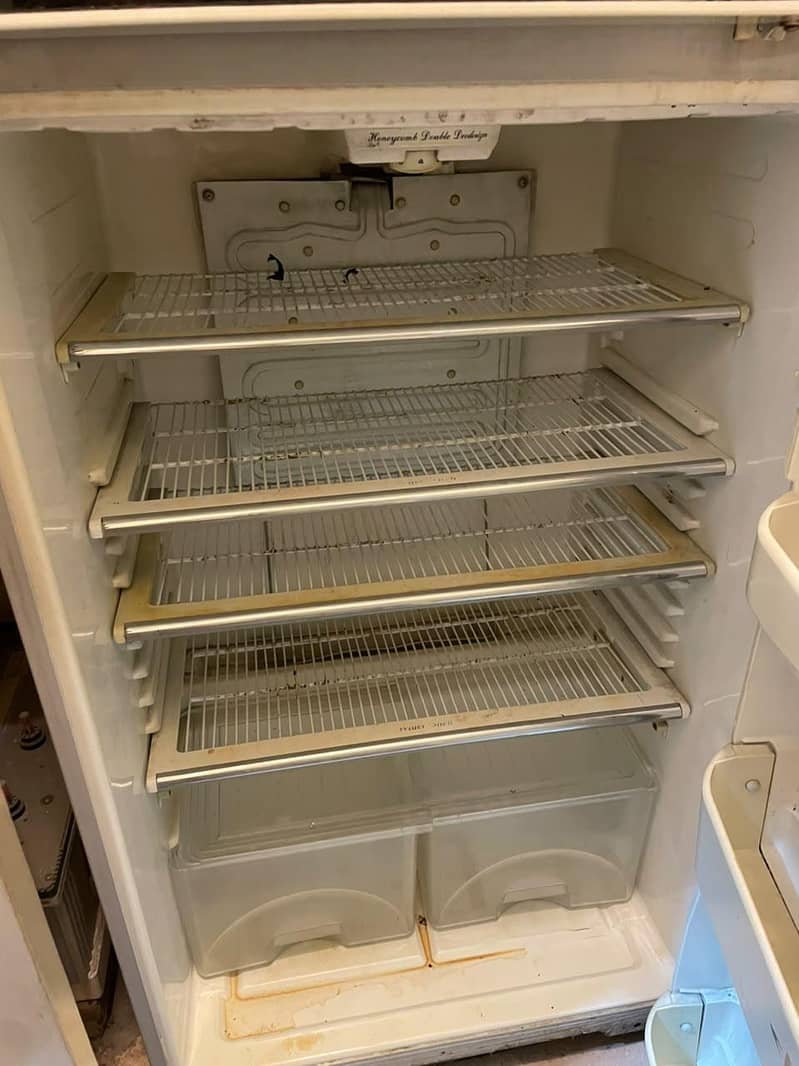 Fridge 1