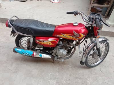 decent bick