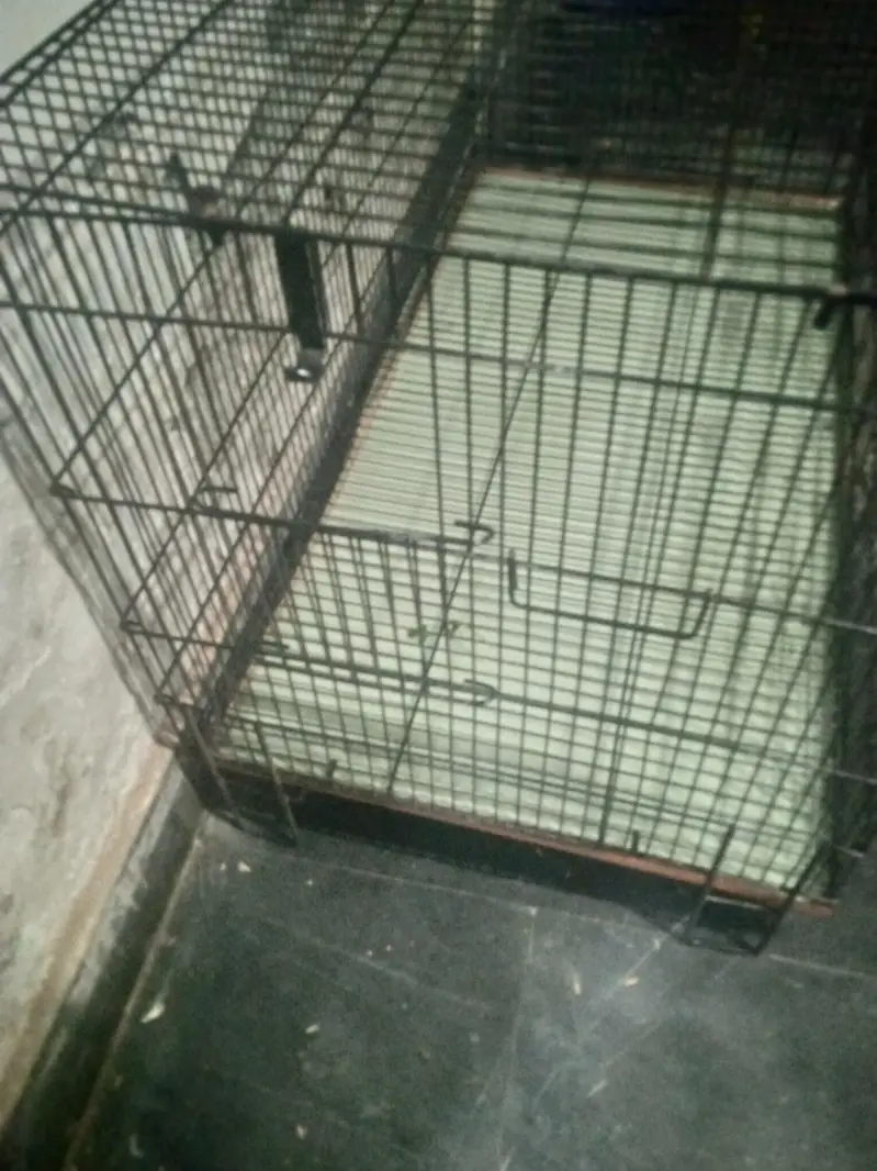 foldable cages bilkul new condition ha 3ft lenght 1.5ft chorayi — photo 2