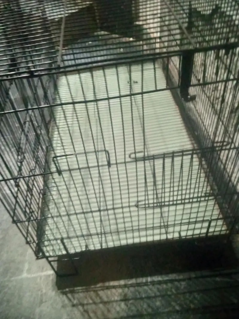 foldable cages bilkul new condition ha 3ft lenght 1.5ft chorayi — photo 3