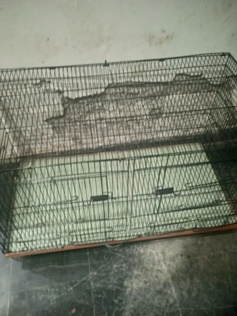 foldable cages bilkul new condition ha 3ft lenght 1.5ft chorayi — photo 4