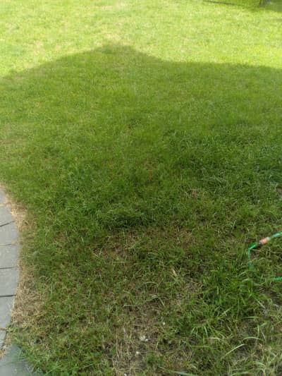 commercial plot for sale