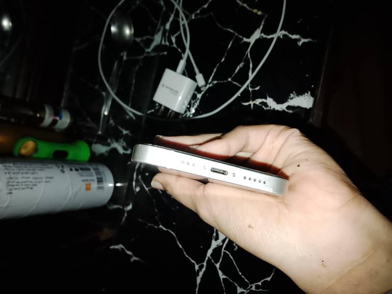 Apple iPhone 12 1