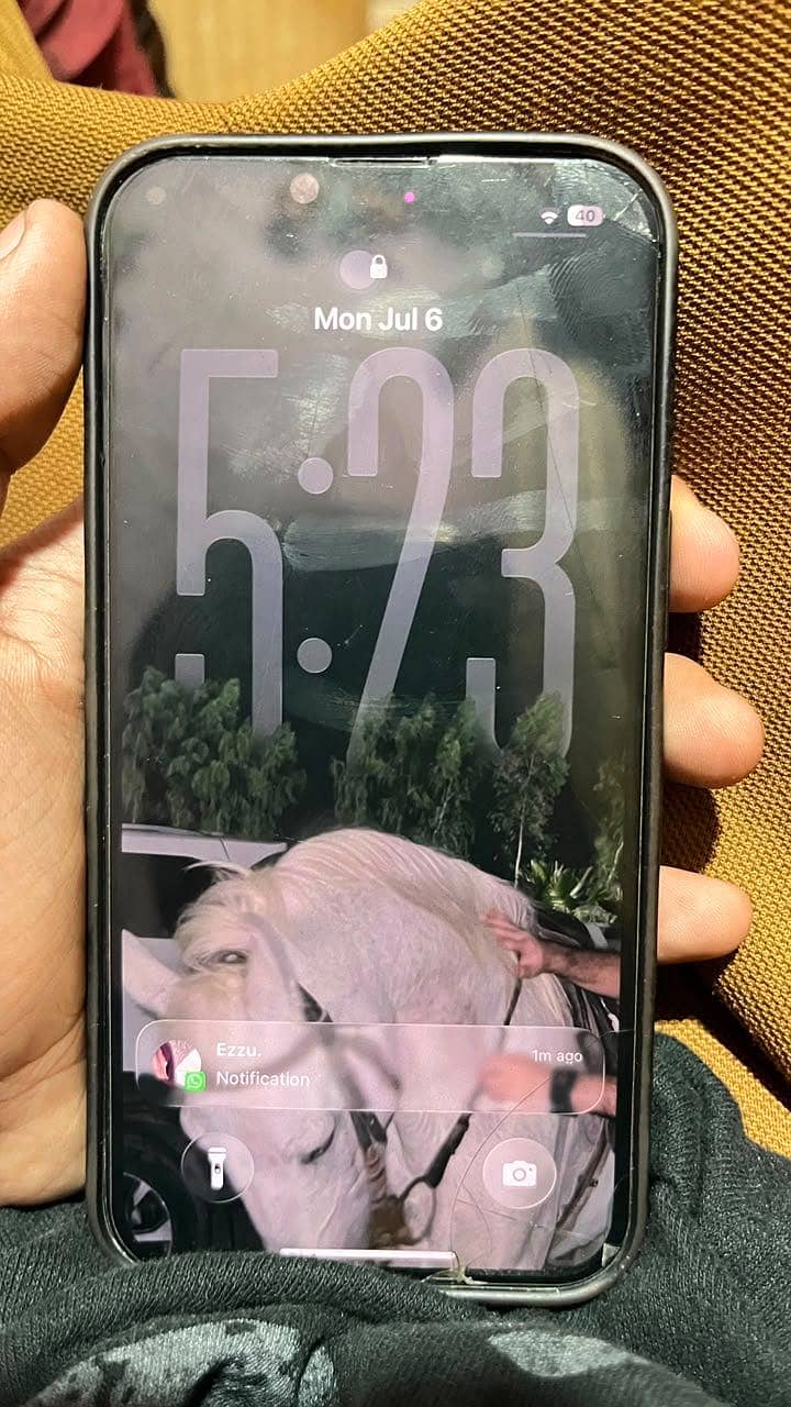 Apple iPhone 14 1