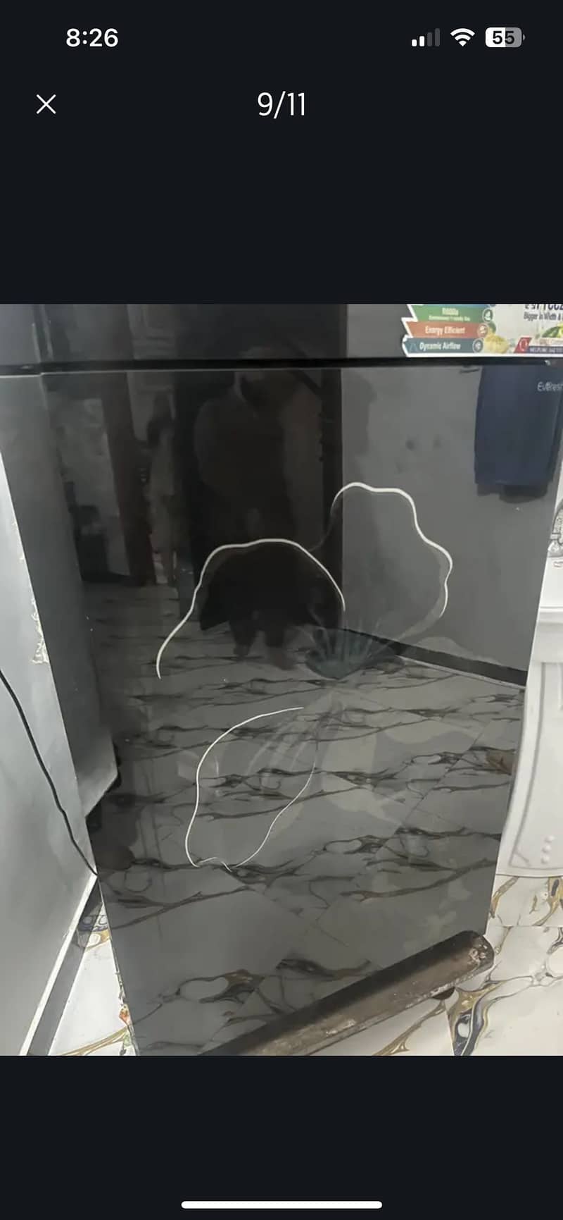 fridge 6