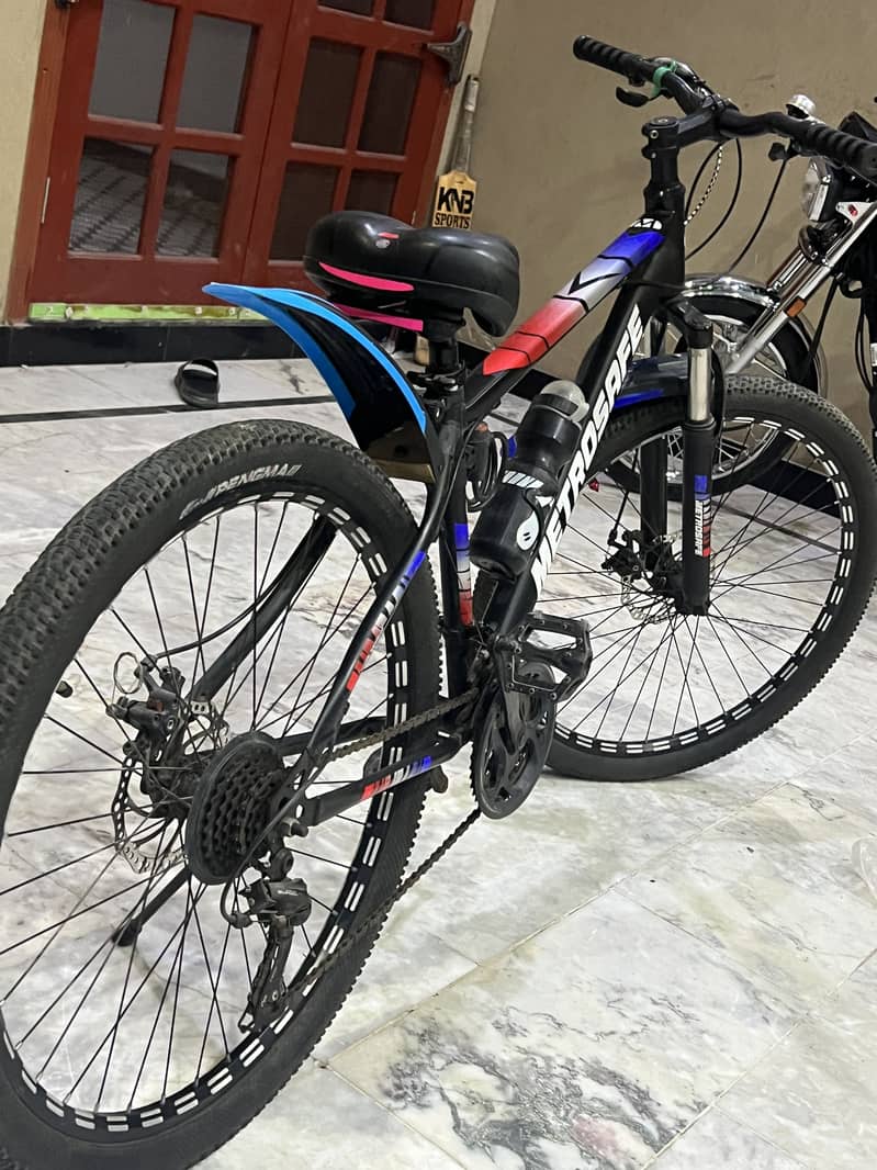Cycle 2