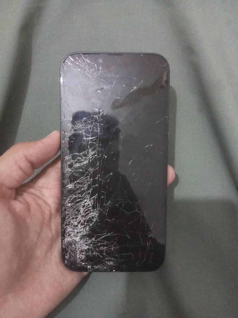 Apple iPhone 13 0