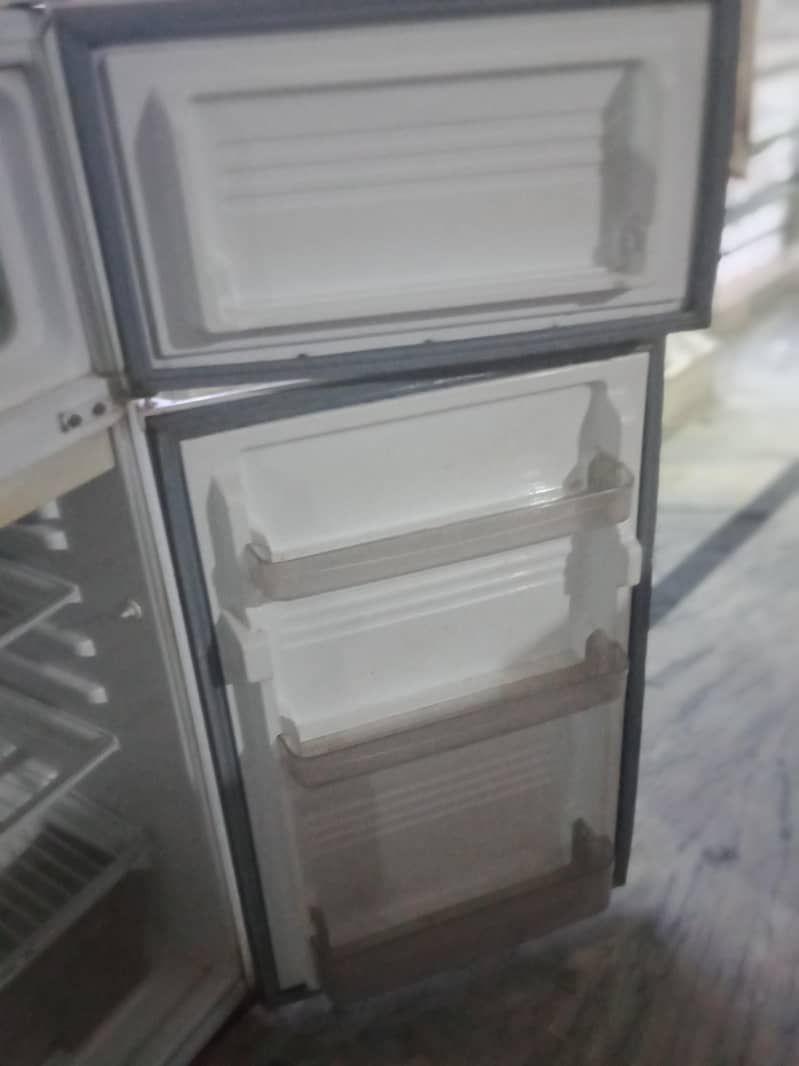 fridge 1