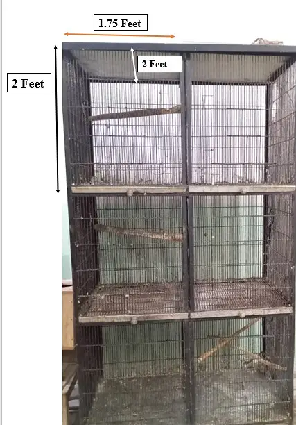 Parrots Cage For Sale — photo 2
